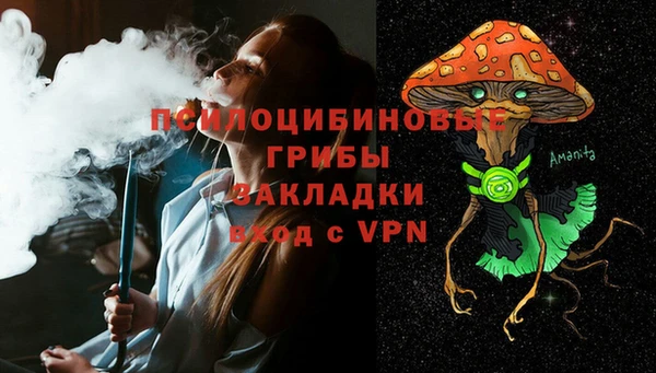 прущие грибы Баксан