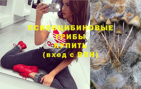 МДПВ Армянск