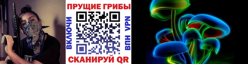 где купить наркоту  Приморск  Галлюциногенные грибы MAGIC MUSHROOMS 