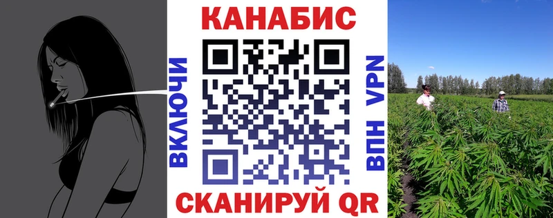 где найти наркотики  Приморск  Бошки Шишки OG Kush 